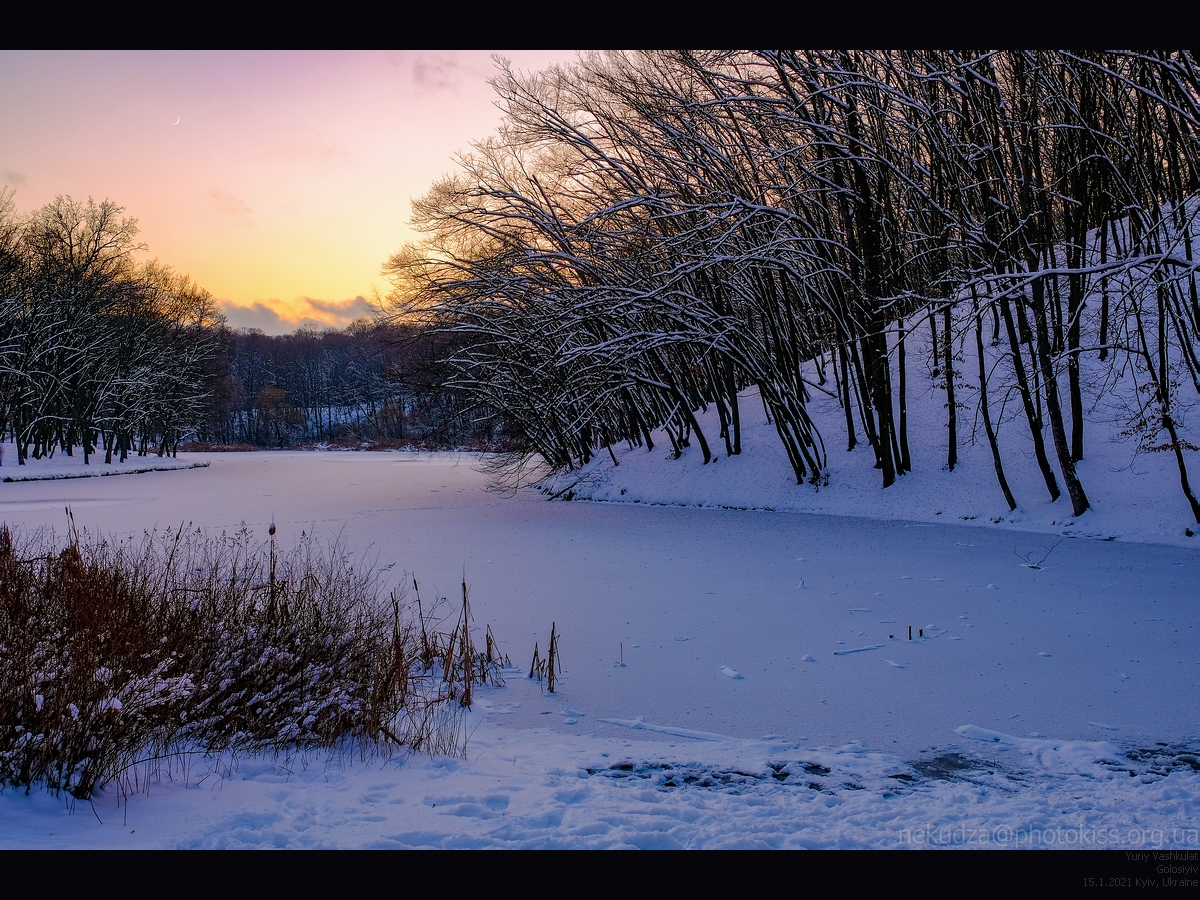 Зима в Голосеевском парке