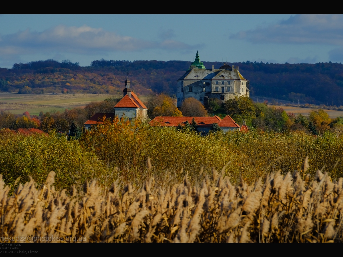 Олеськівський замок