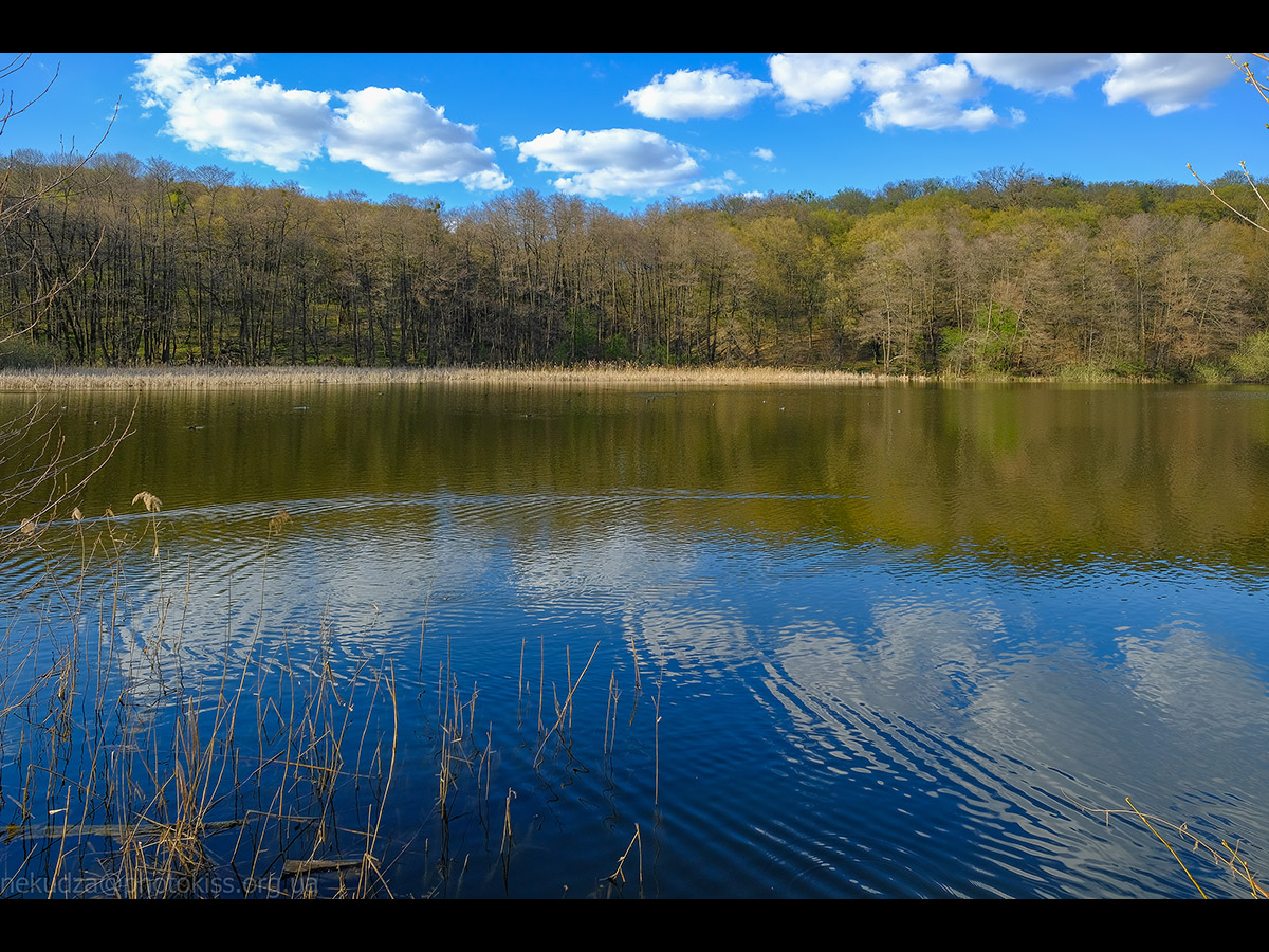 Дідорівські ставки навесні