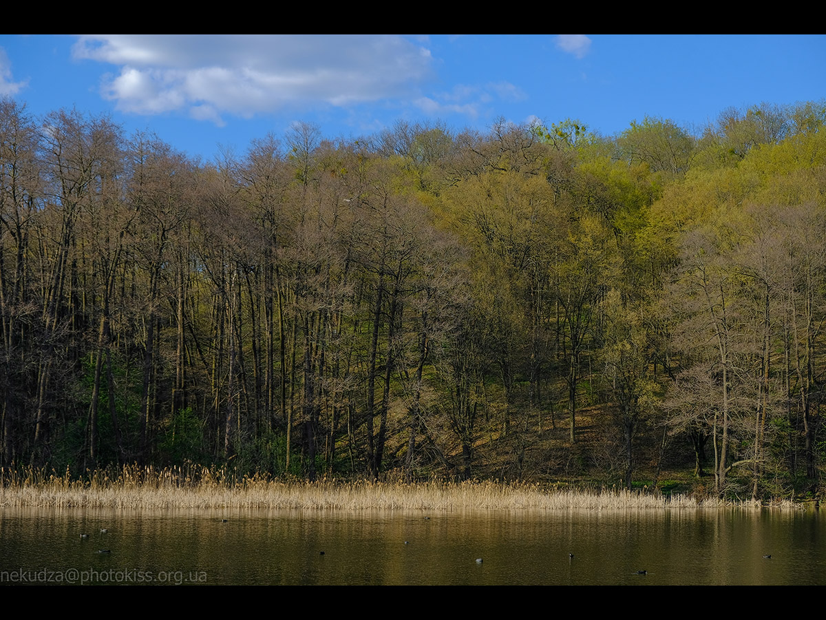 Дідорівські ставки навесні