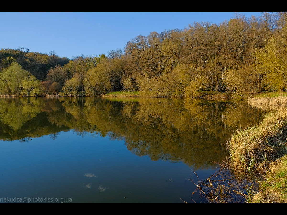Дідорівські ставки навесні