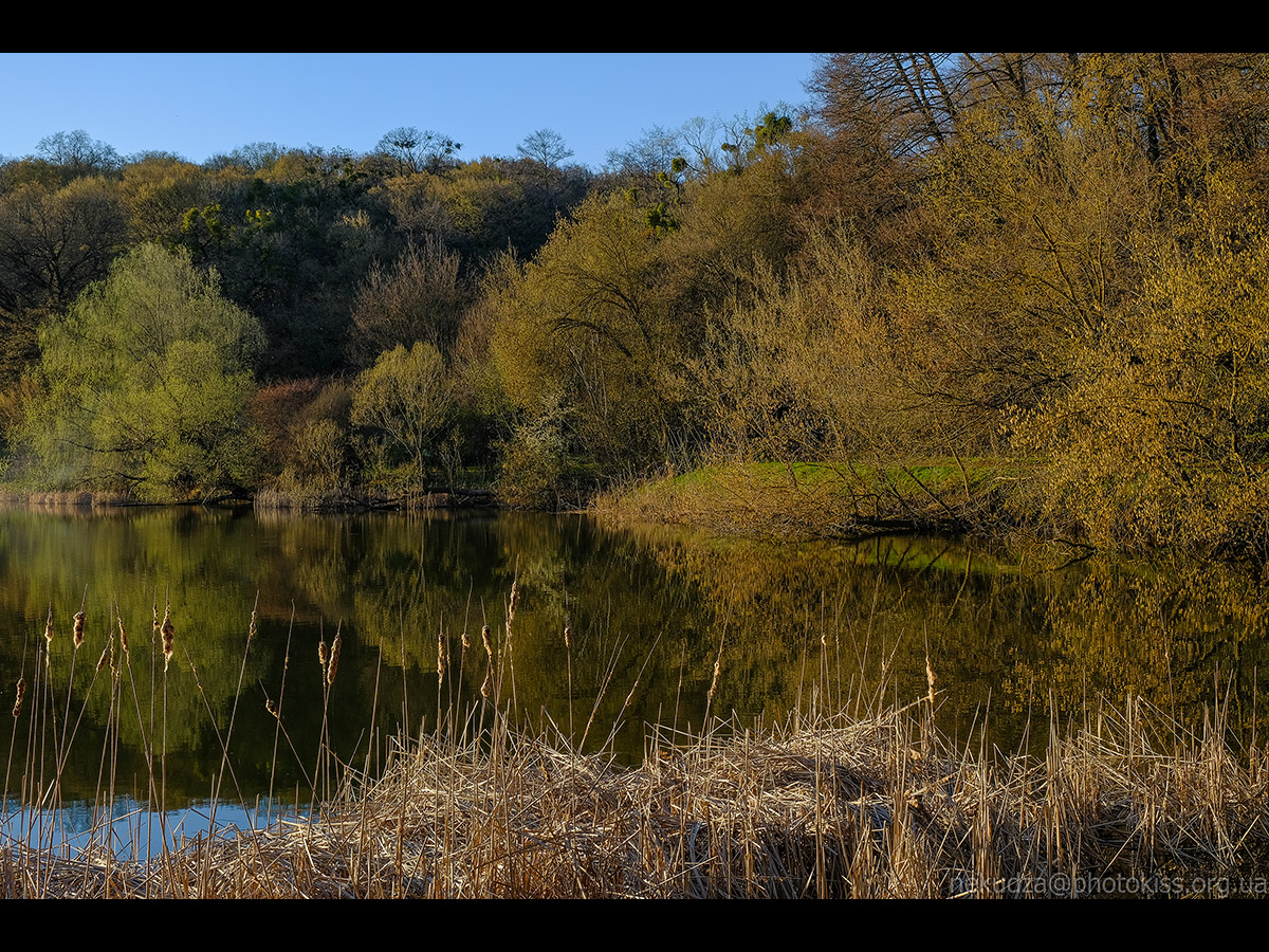 Дідорівські ставки навесні
