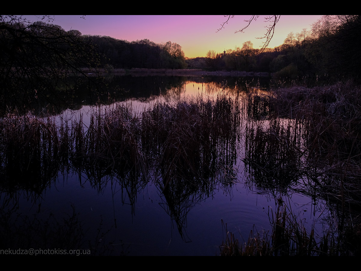 Дідорівські ставки на заході сонця