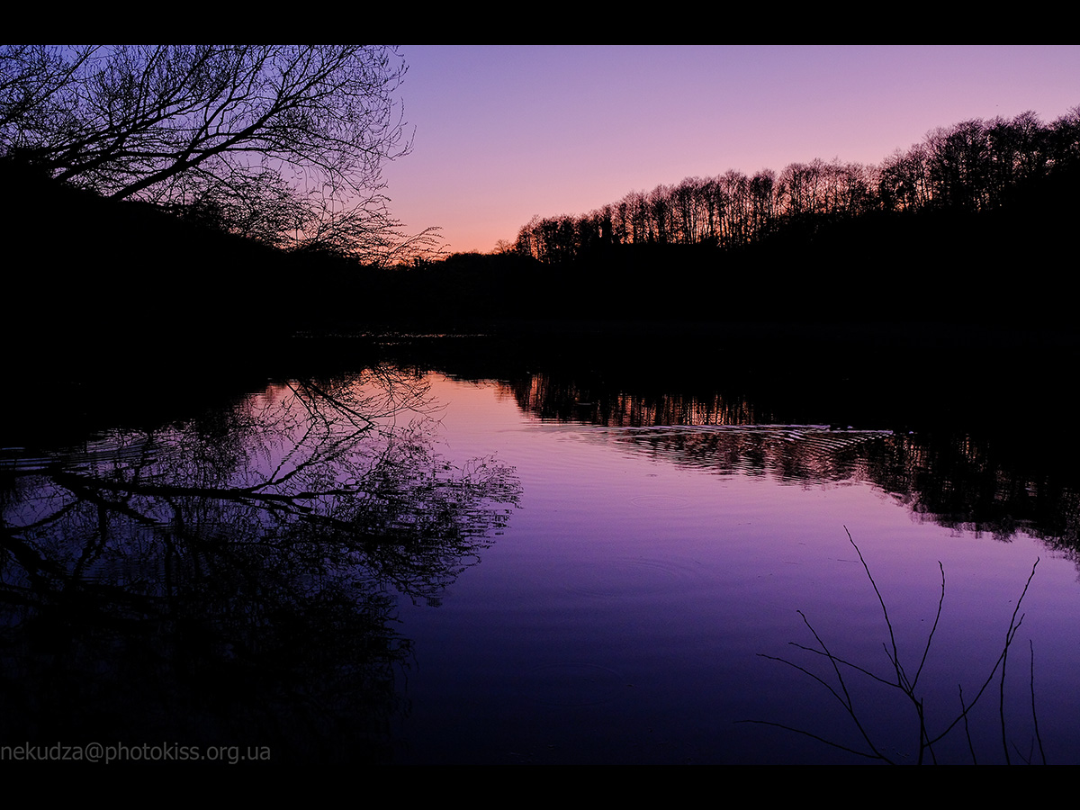 Дідорівські ставки на заході сонця