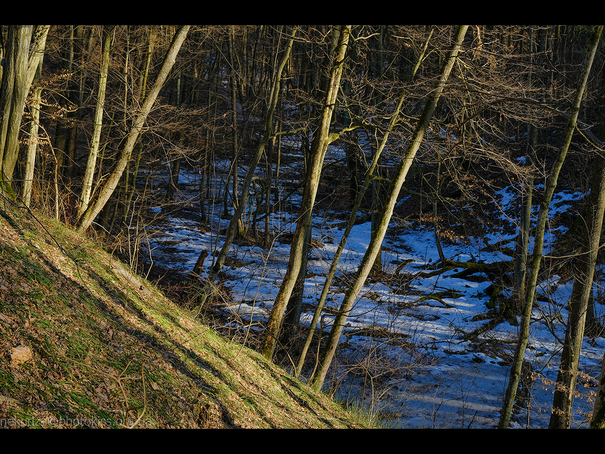 Рання весна в Китаєві
