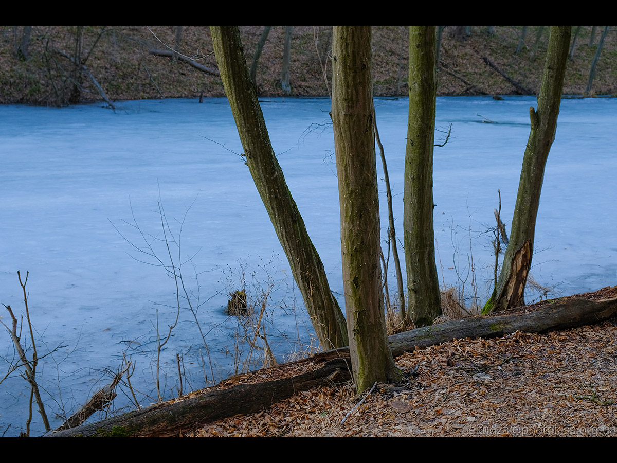Рання весна в Китаєві